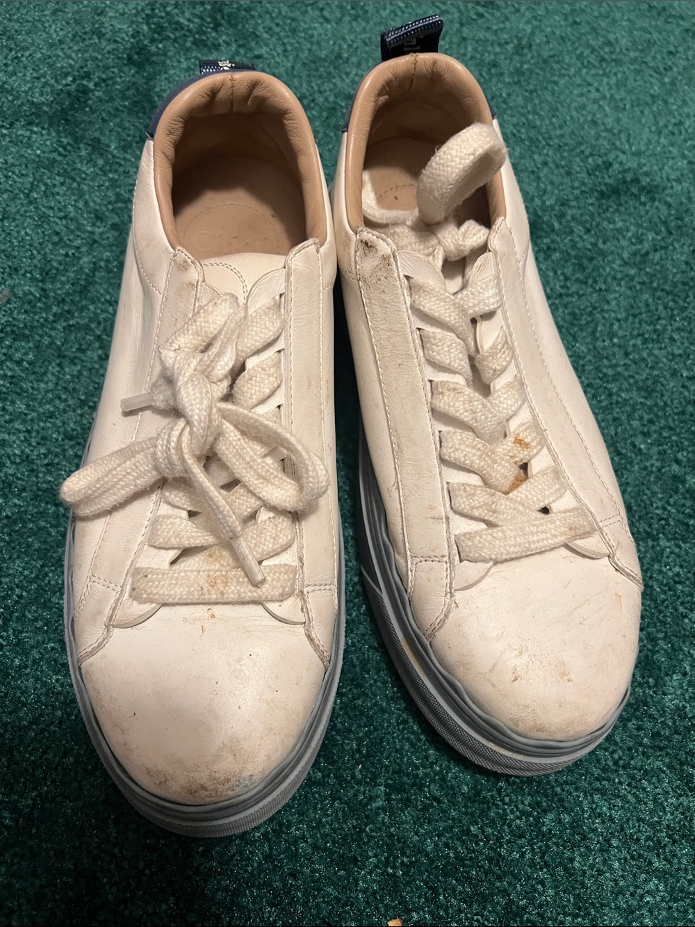 Chloé White Leather Sneakers with Navy Heel Tab - Picture 5 of 5